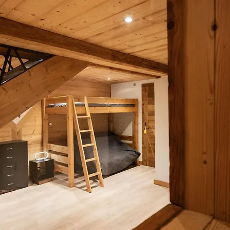 Grand 4 Pieces, 8 Pers, Animaux Admis Appartement Châtel